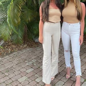 Tiger mist dress pant